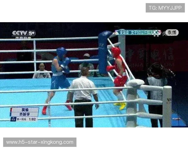 拳击冠军战中连续擂击带动现场高潮