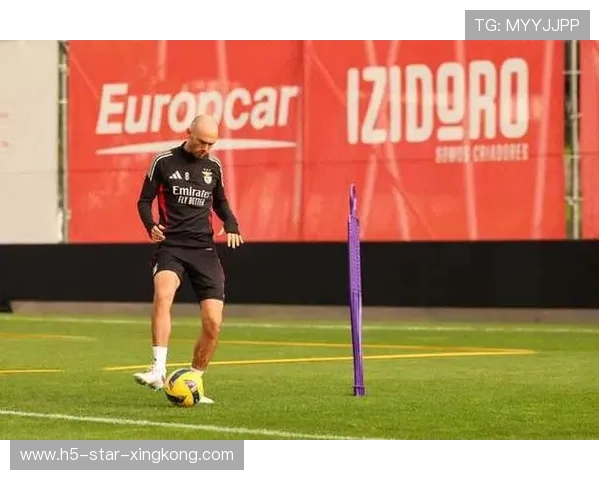 本菲卡奥尔斯内斯顺势抽射皮球贴地而入：从瞬间到持久的生活训练之道